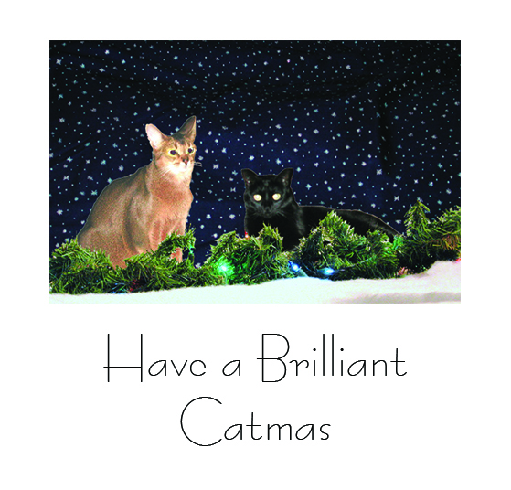 2004 Catmas Card