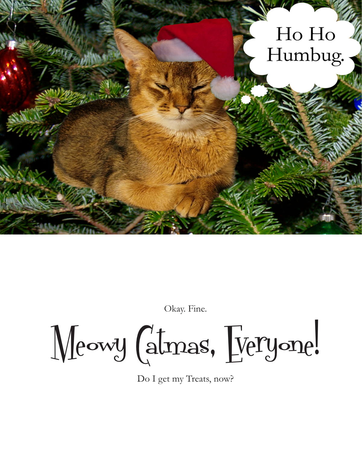 2025 Catmas Card