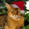 2025