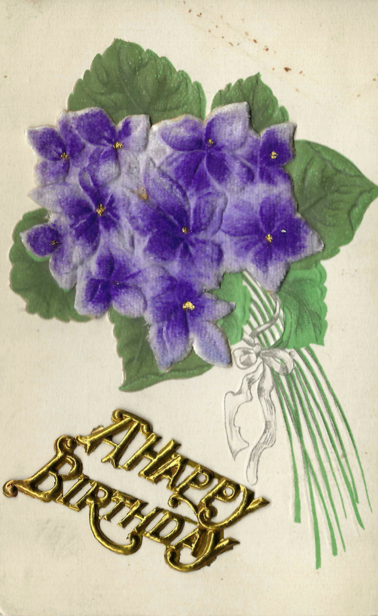 A Happy Birthday