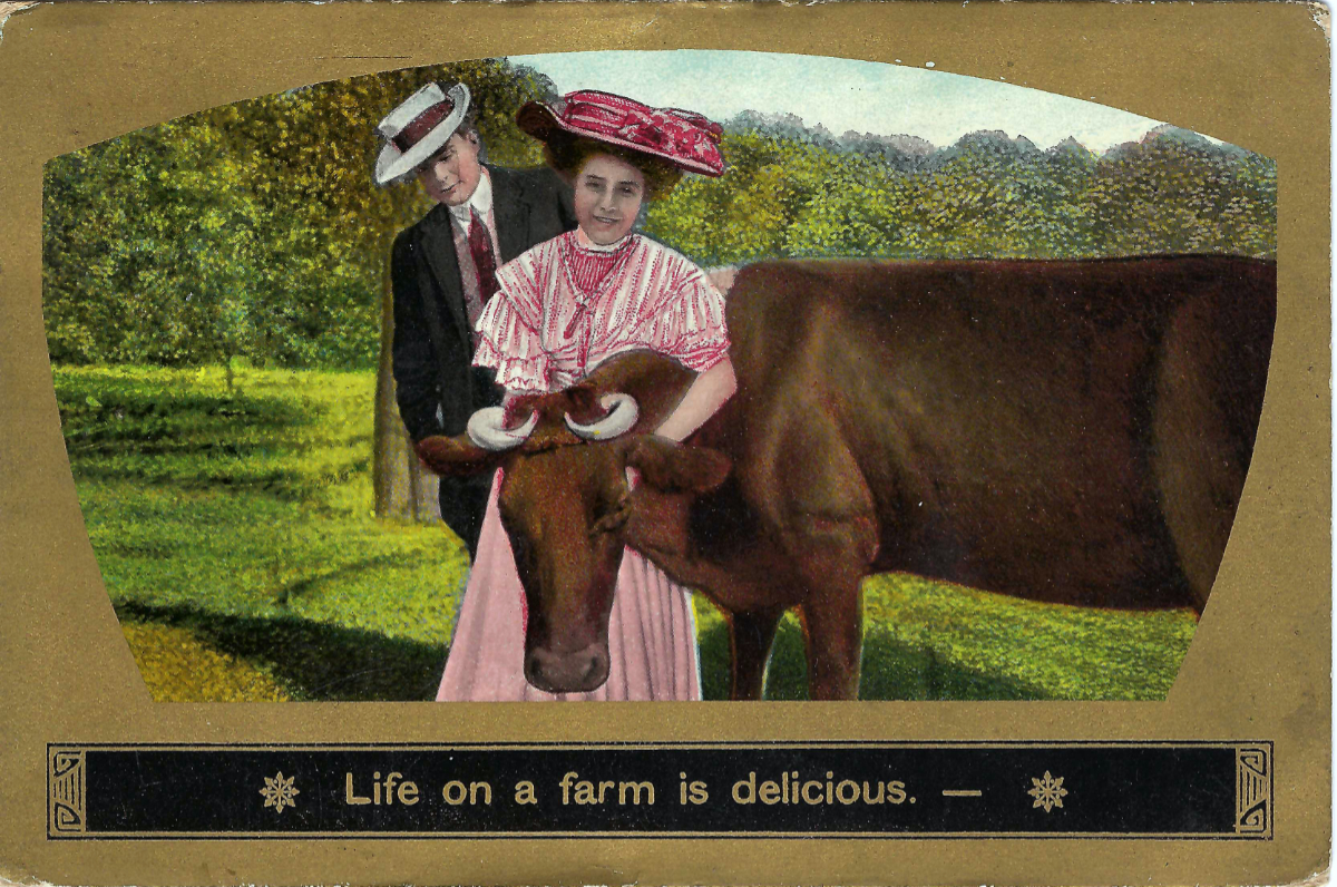 Life on a far is delicious.